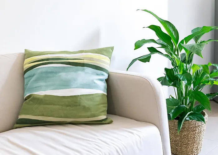 Maison Davia * Mediolan